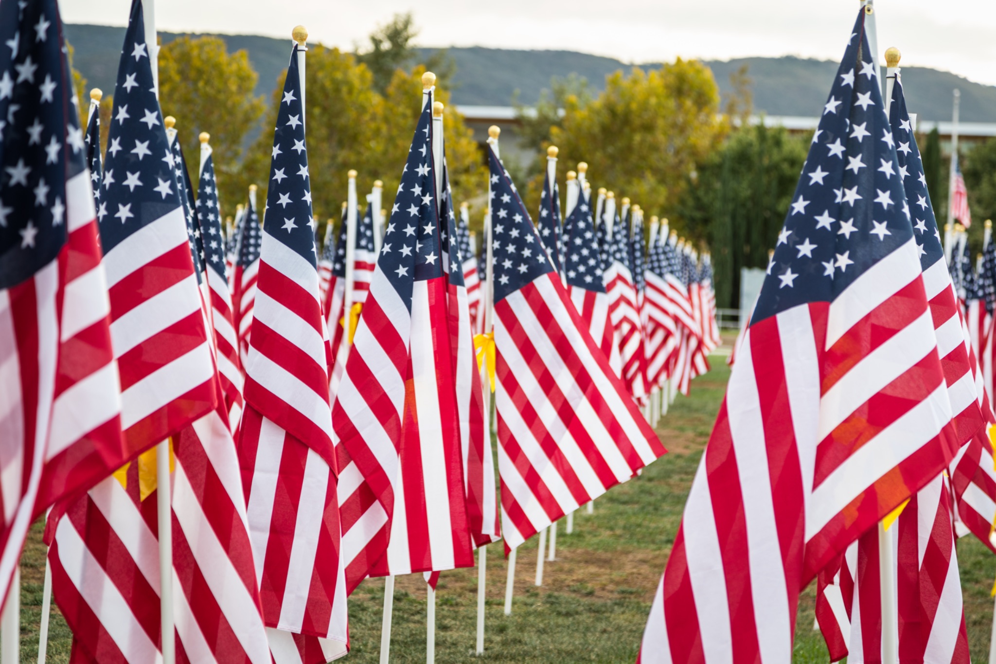 Tucson veterans day parade 2024 schedule