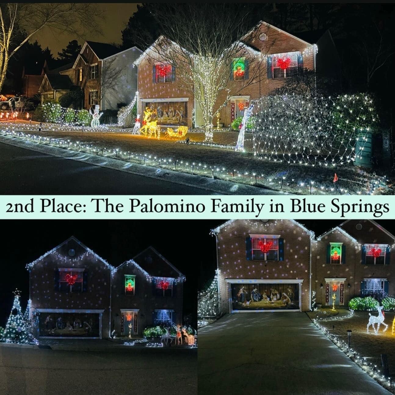 Second Place: The Palomino Family